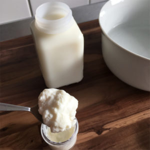 Warm milk is about to be inoculated with kefir grains